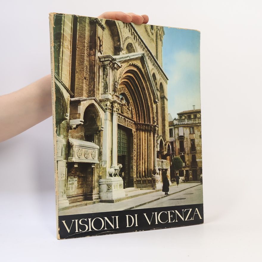Kolektív autorov Visioni di Vicenza