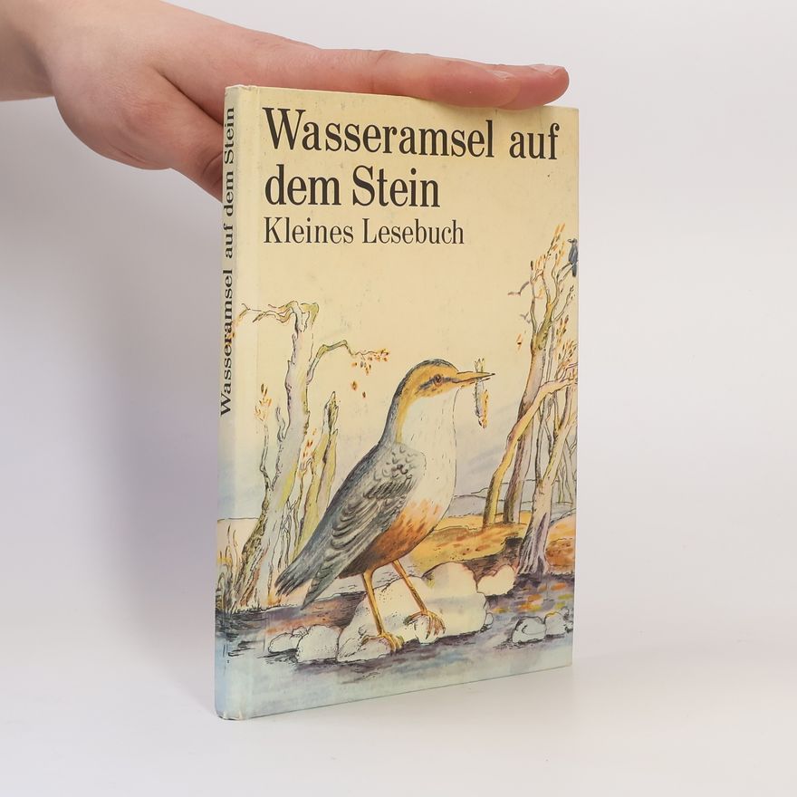 Hildegard Küssner Wasseramsel auf dem Stein