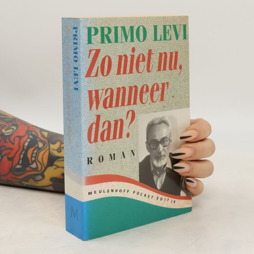 Frida De Matteis-Vogels Pocket editie: Zo niet nu, wanneer dan?