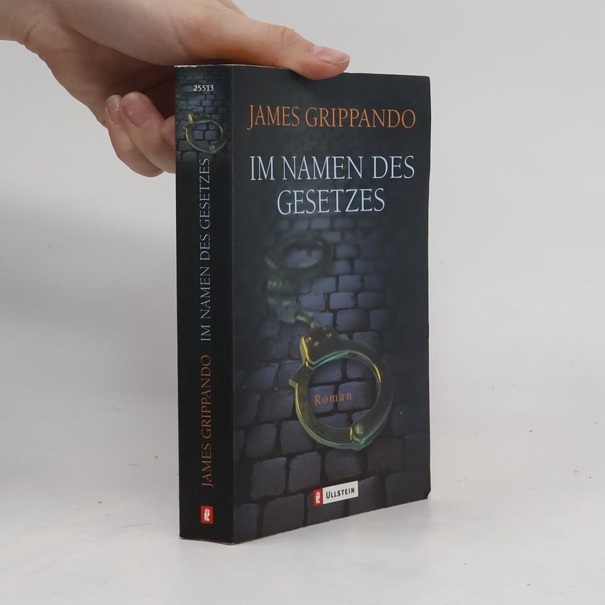 James Grippando Im Namen des Gesetzes