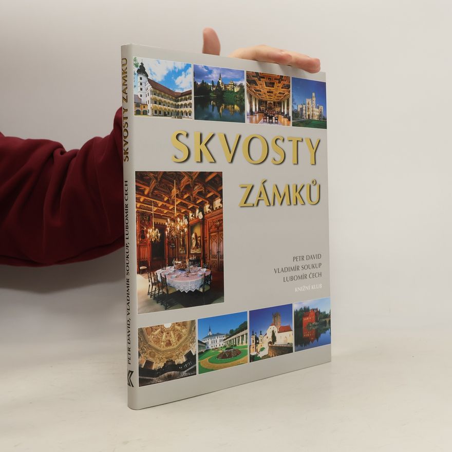 Petr David Skvosty zámků