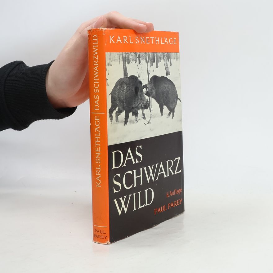Karl Snethlage Das Schwarzwild
