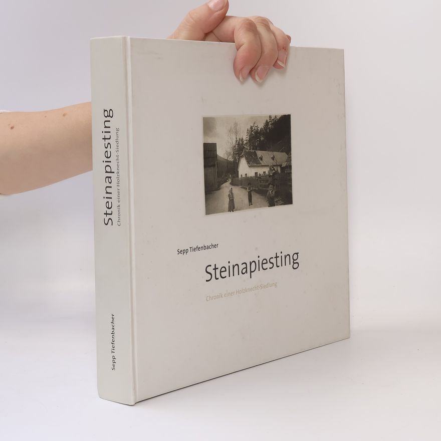 Sepp Tiefenbacher Steinapiesting
