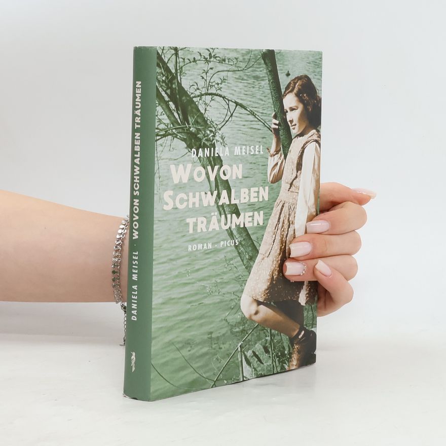 Daniela Meisel Wovon Schwalben träumen