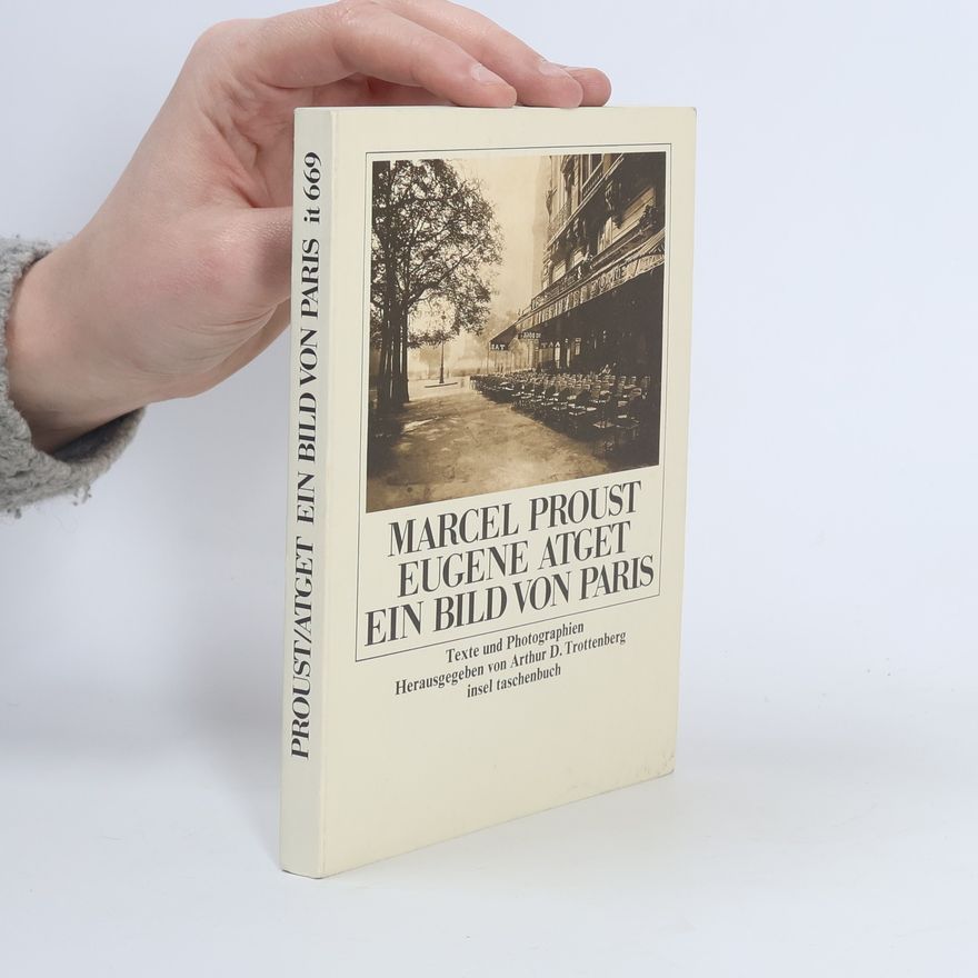 Arthur D. Trottenberg Insel Taschenbuch - 669: Ein Bild von Paris