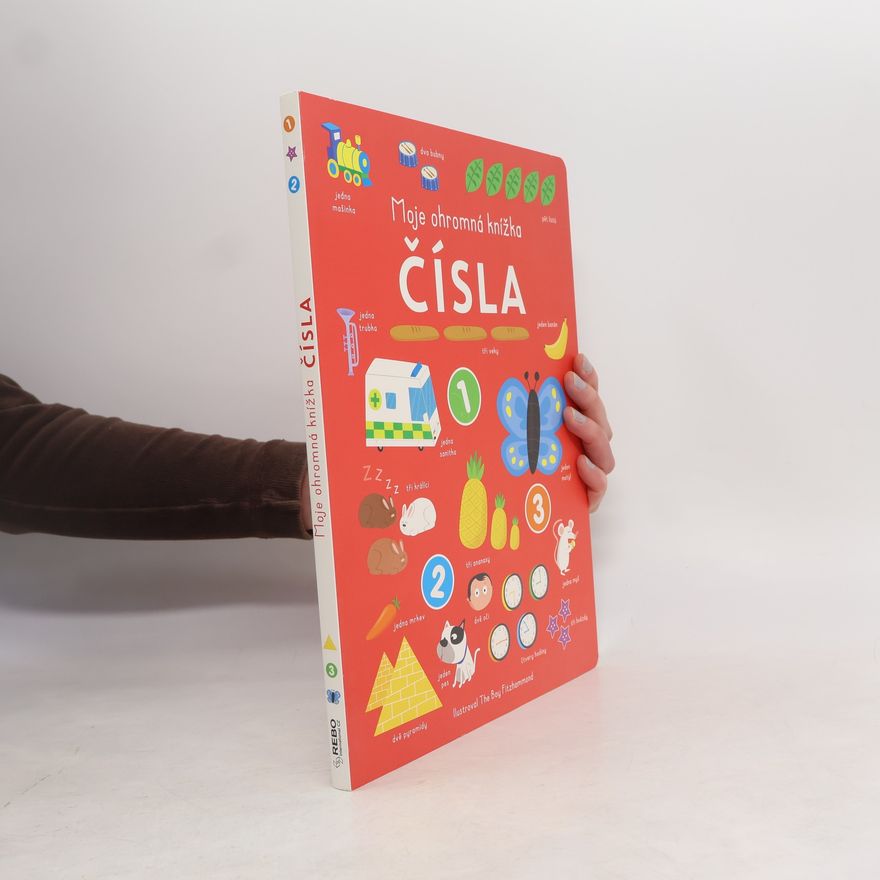 Kolektiv autorů Moje ohromná knížka: Čísla