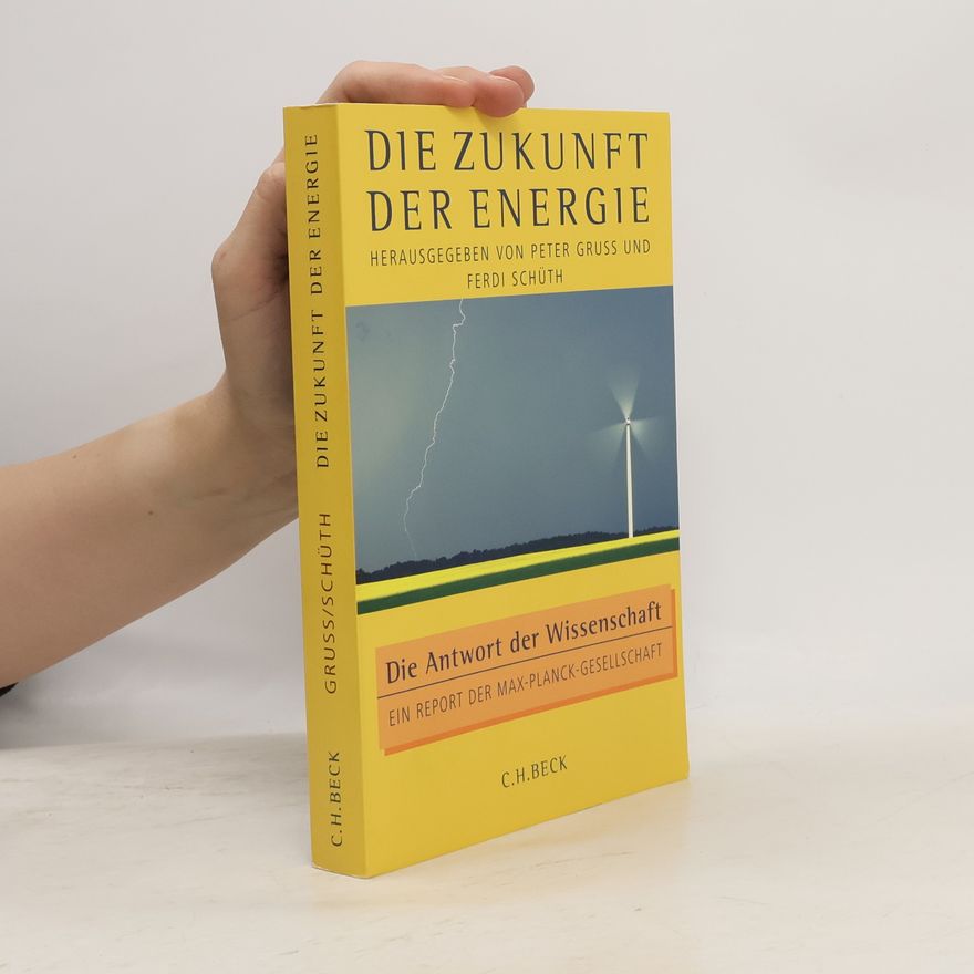 Ferdi Schüth Die Zukunft der Energie