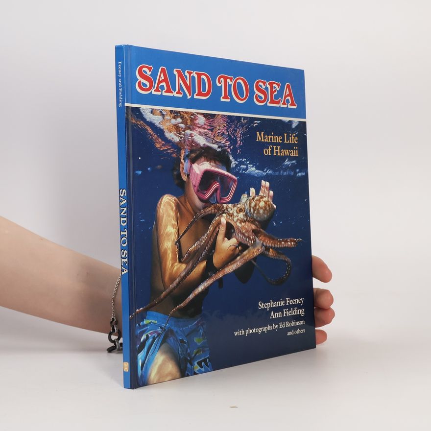 Ann Fielding Sand to Sea