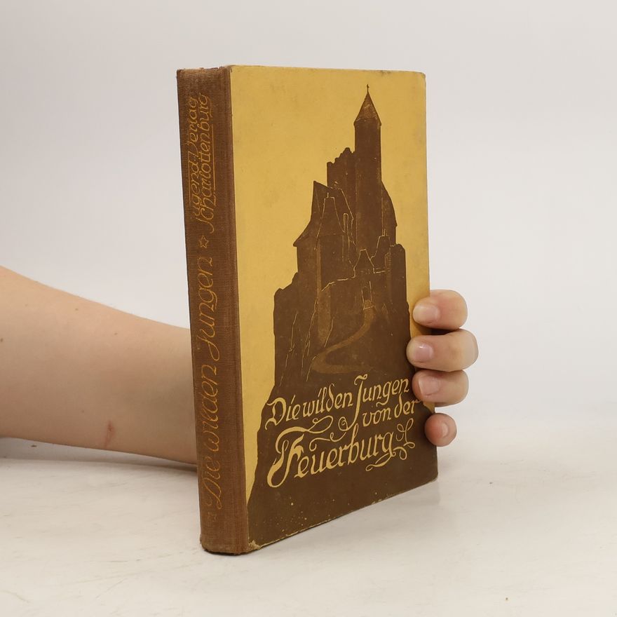 Kolektiv autorů Die wilden Jungen von der Feuerburg