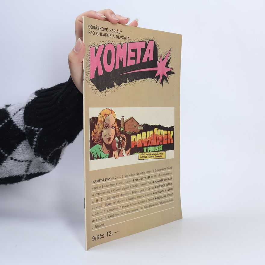 Autorenkollektiv Kometa. Plamínek v podlesí
