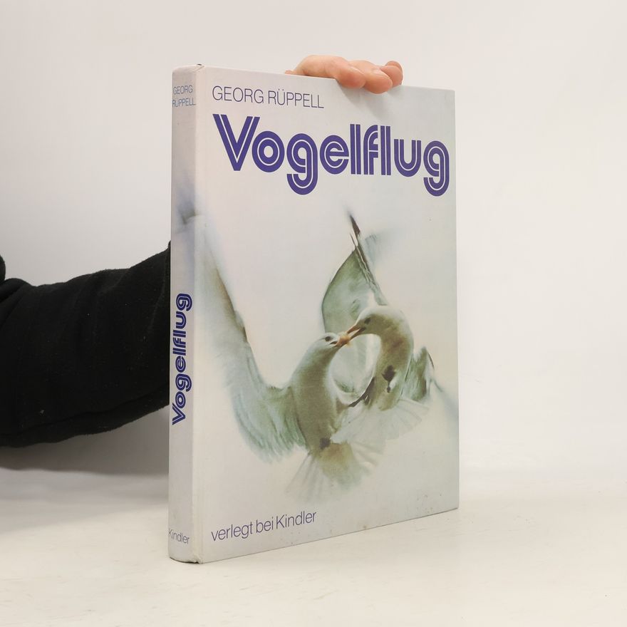 Georg Rüppell Vogelflug