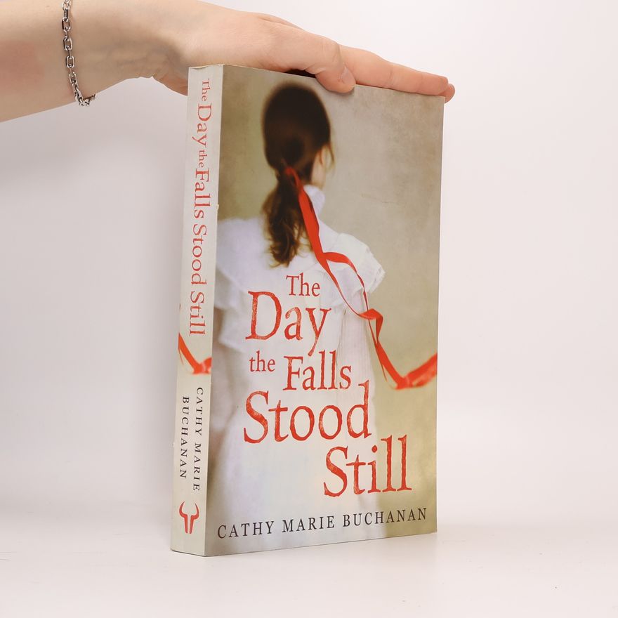 Cathy Marie Buchanan The Day the Falls Stood Still