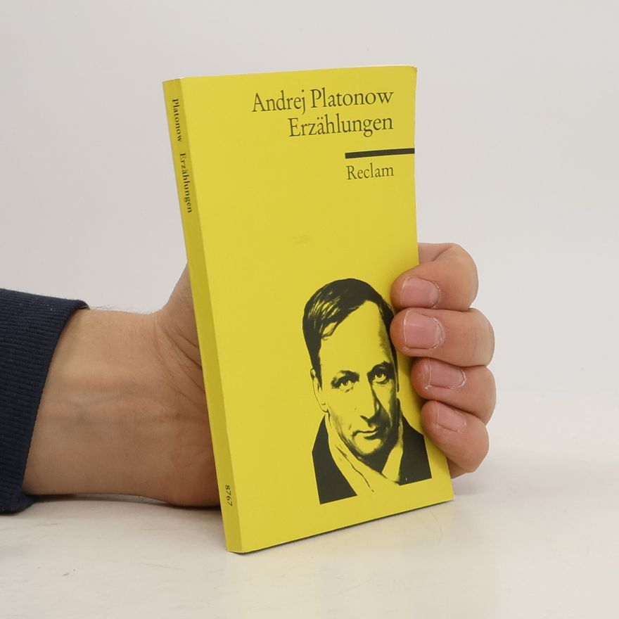Andrei Platonov Erzählungen