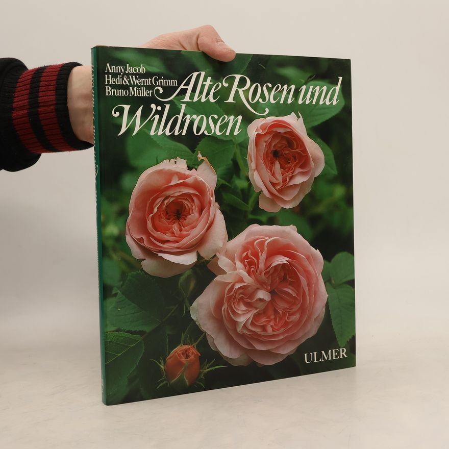 Hedi Grimm Alte Rosen und Wildrosen. Sonderausgabe.