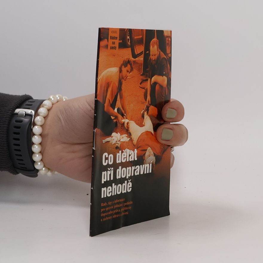Autorenkollektiv Co dělat při dopravní nehodě