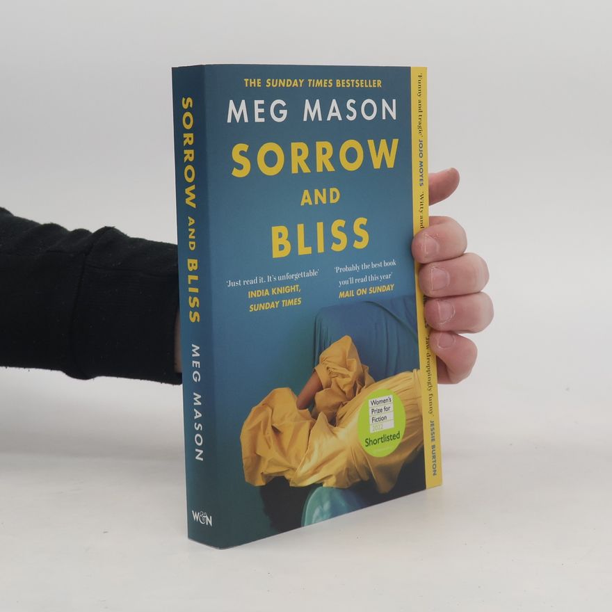 Meg Mason Sorrow and bliss