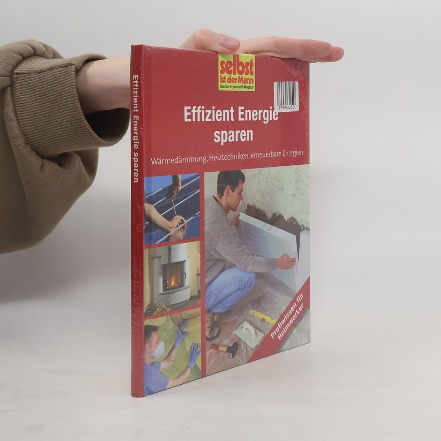 Various authors Effizient Energie sparen