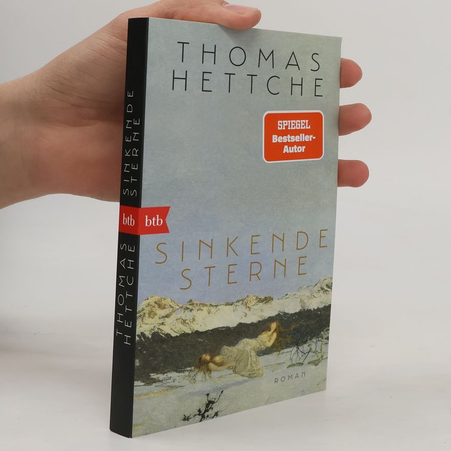 Thomas Hettche Sinkende Sterne