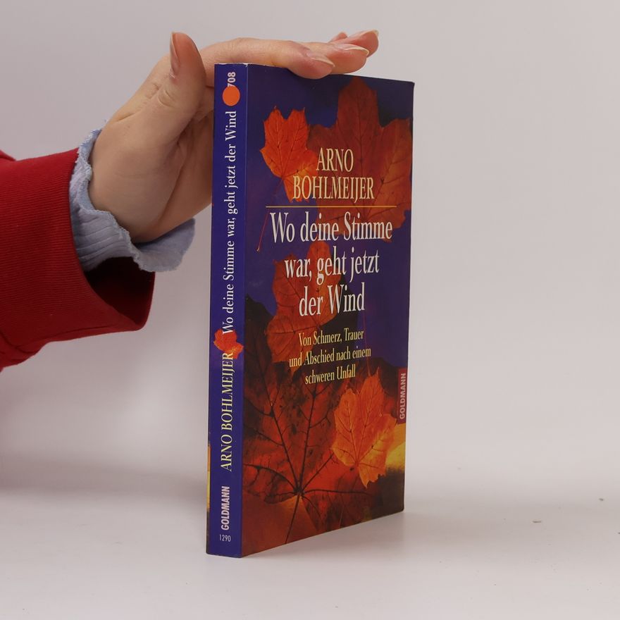 Arno Bohlmeijer Wo deine Stimme war, geht jetzt der Wind