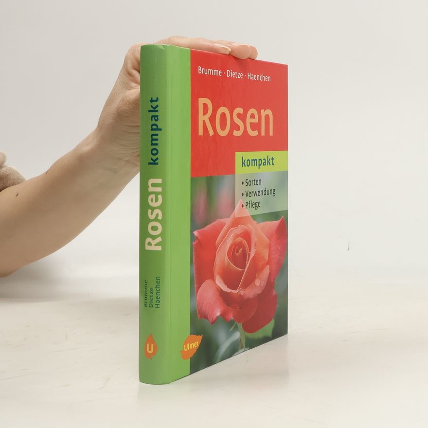 Hella Brumme Rosen kompakt