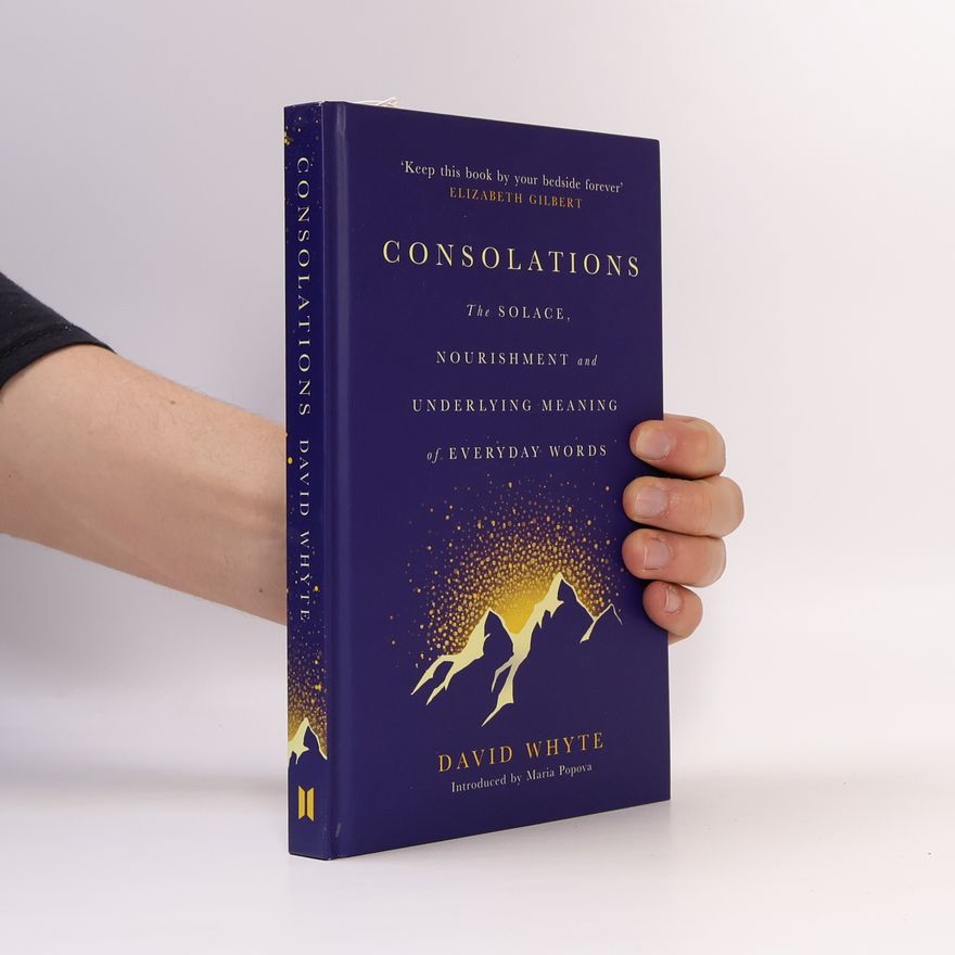 david Whyte Consolations