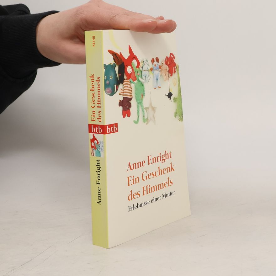 Anne Enright Ein Geschenk des Himmels
