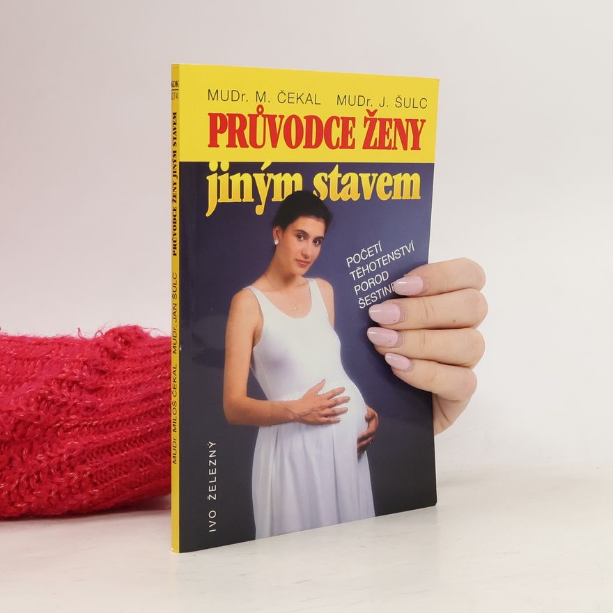 Jan Šulc Průvodce ženy jiným stavem