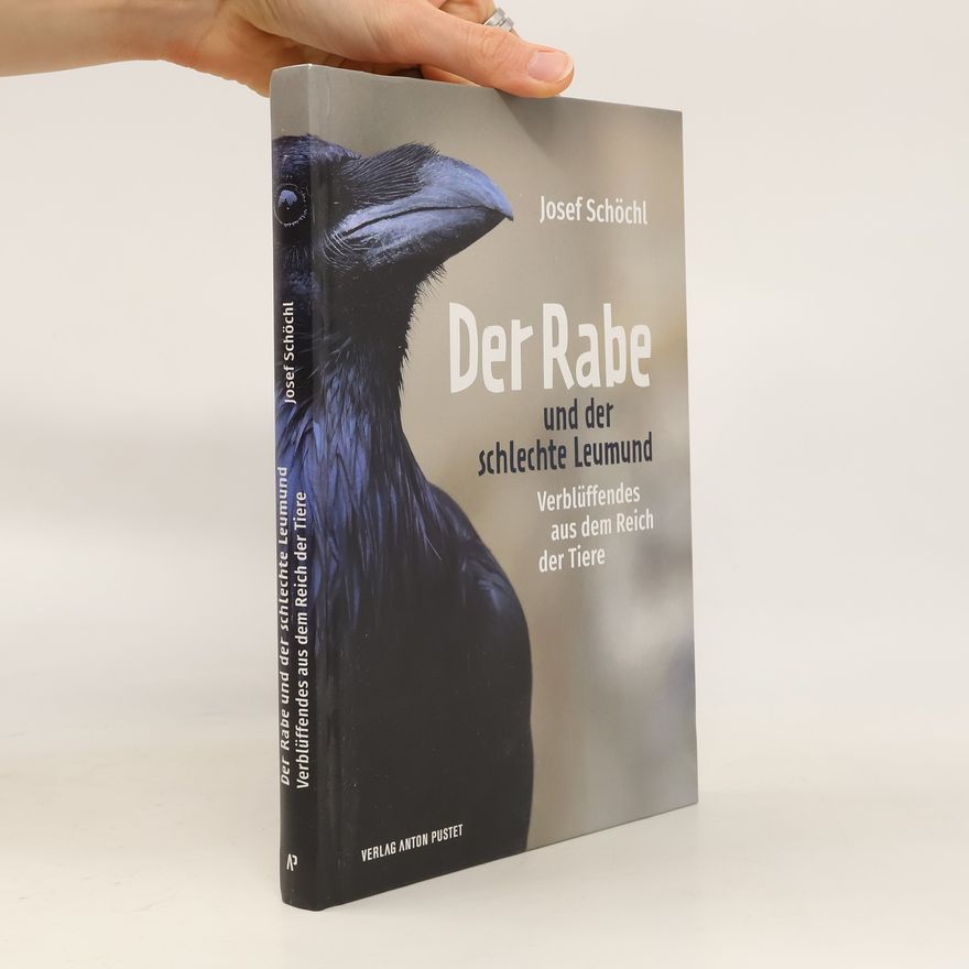 Josef Schöchl Der Rabe und der schlechte Leumund