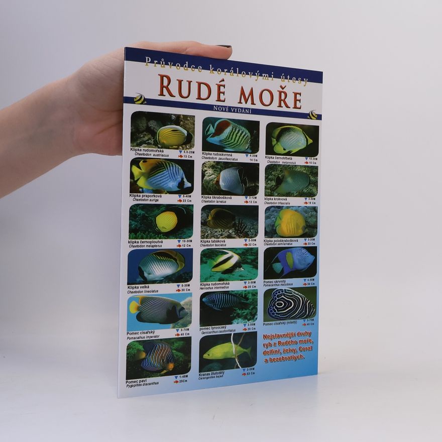 Kolektív autorov Průvodce korálovými útesy. Rudé moře