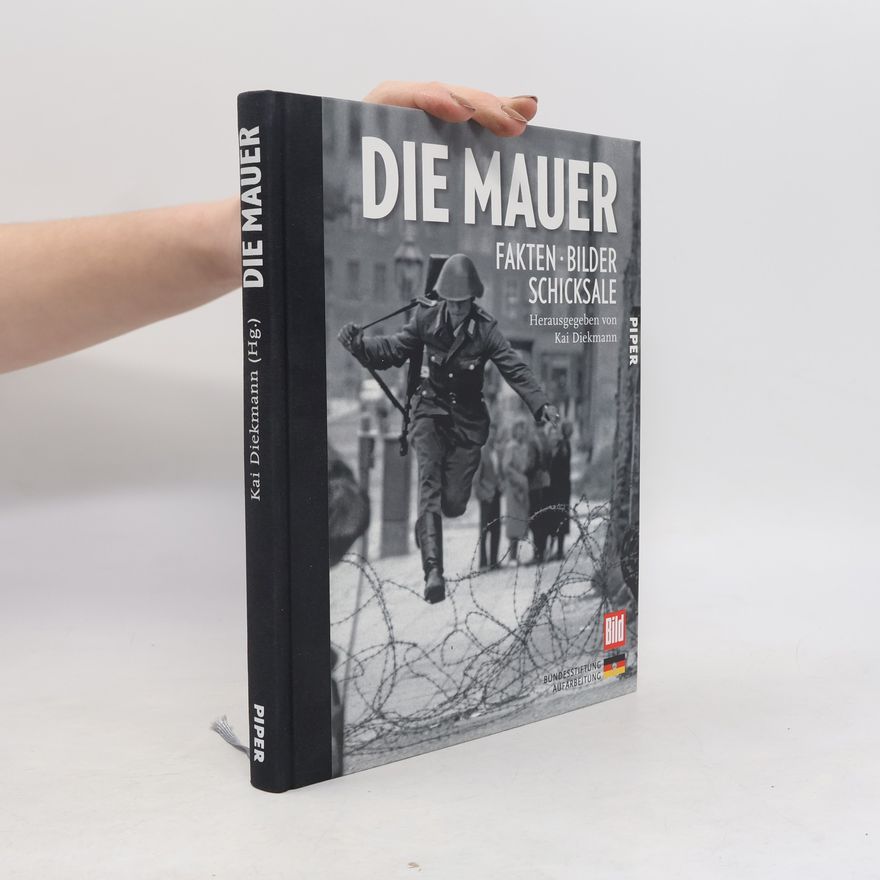 Kai Diekmann Die Mauer