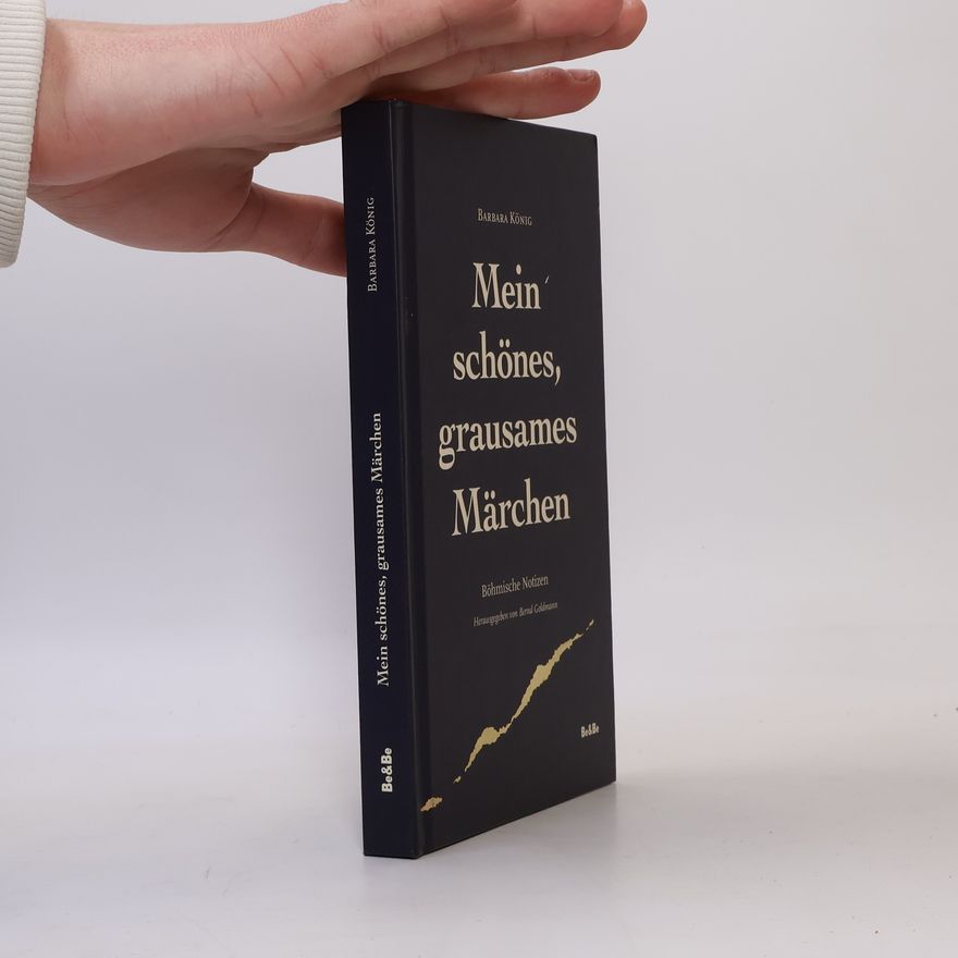 Bernd Goldmann Mein schönes, grausames Märchen