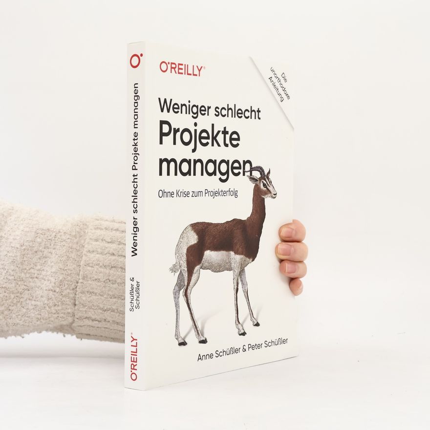 Anne Schüßler Weniger schlecht Projekte managen
