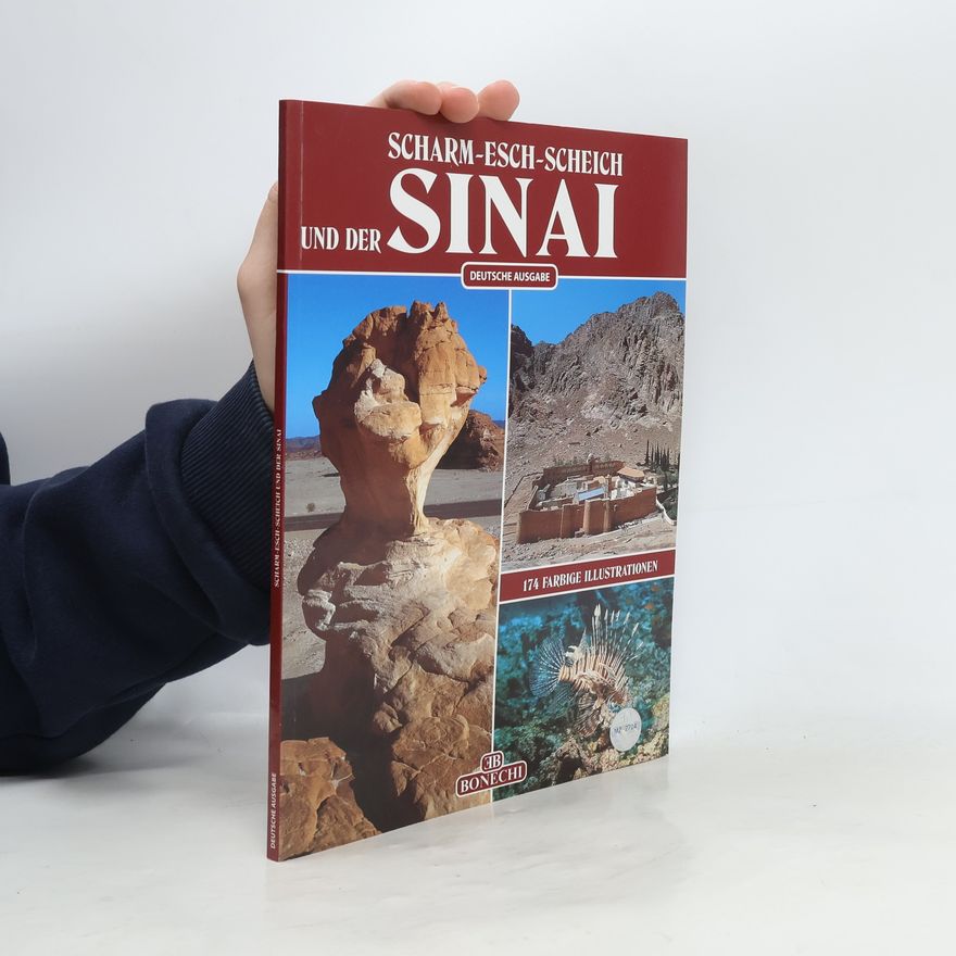 Giovanna Magi Die Halbinsel Sinai