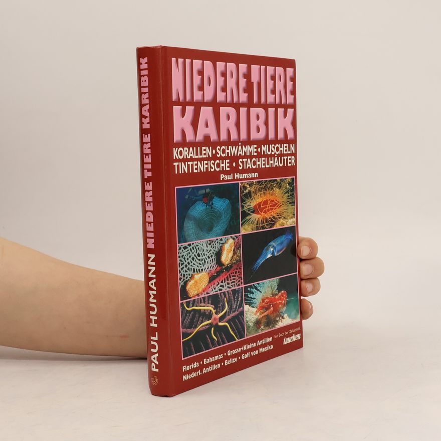 Paul Humann Niedere Tiere Karibik