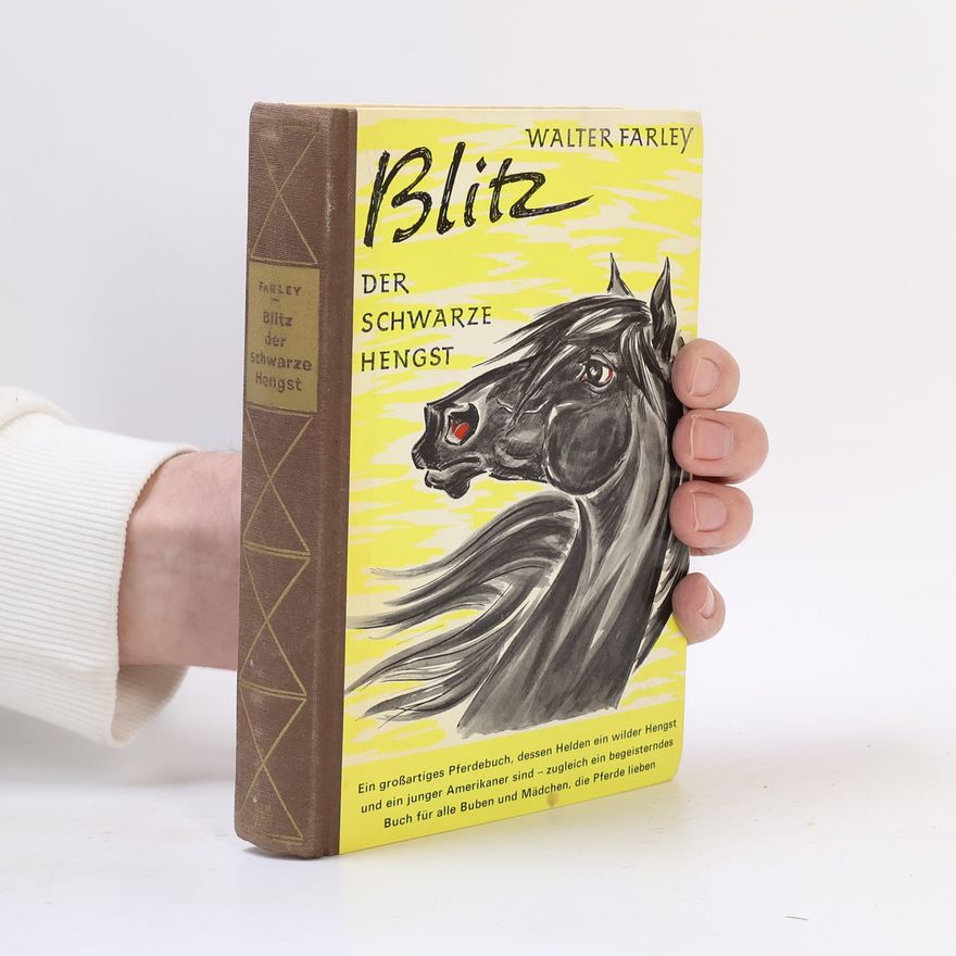 Walter Farley Blitz. Der schwarze Hengst