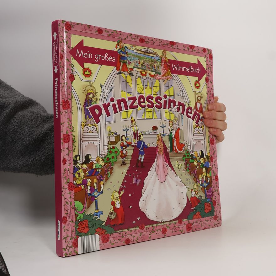 Autorenkollektiv Mein großes Wimmelbuch Prinzessinnen