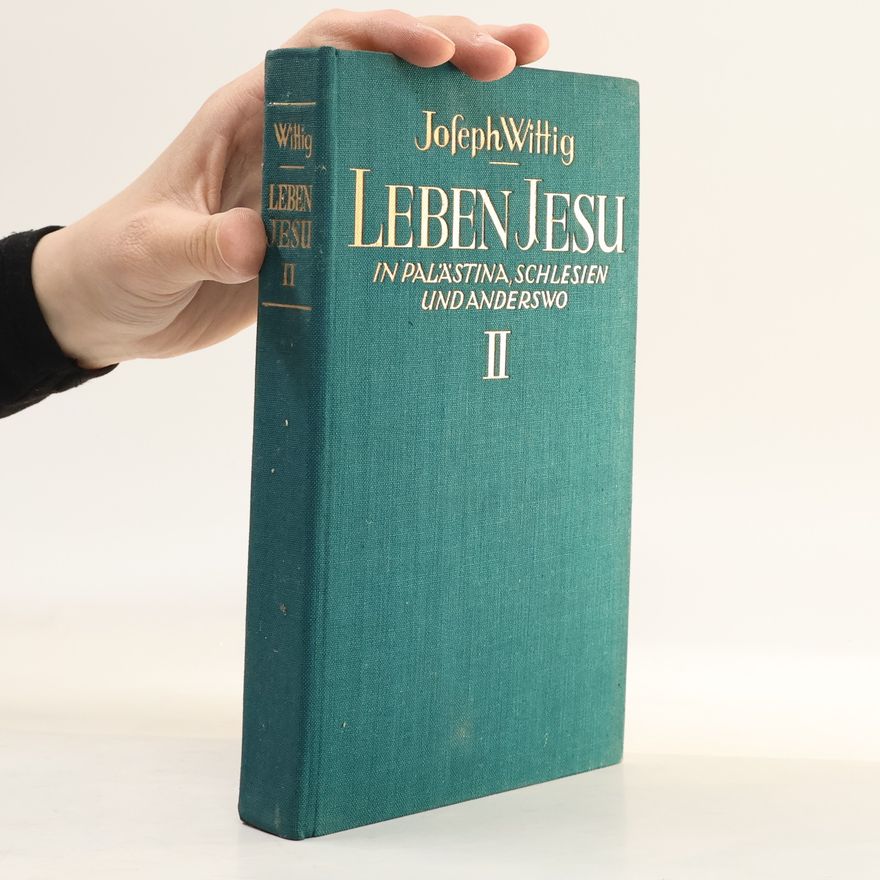 Joseph Wittig Leben Jesu in Palästina, Schlesien und anderswo 2