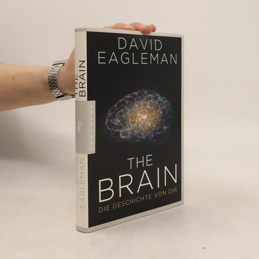 David Eagleman The Brain