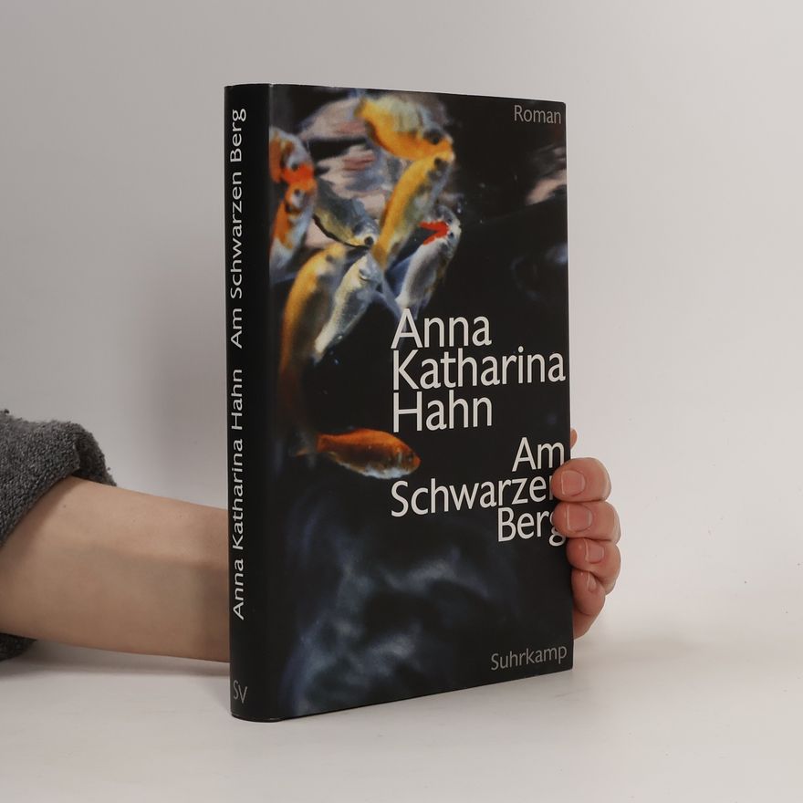 Anna Katharina Hahn Am Schwarzen Berg