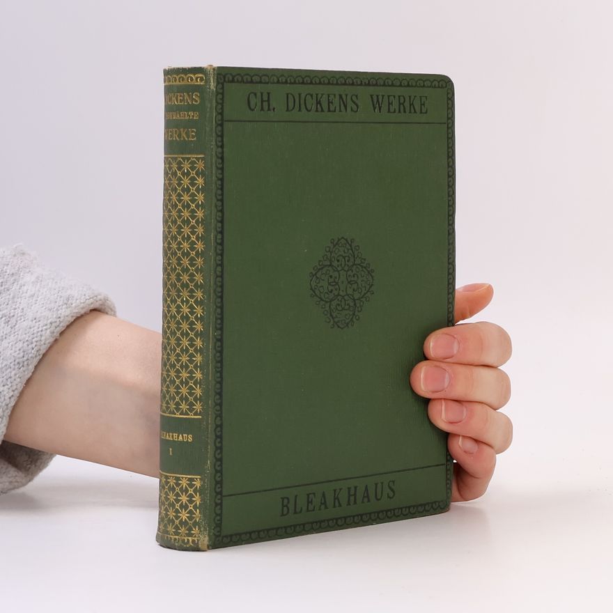 Charles Dickens Ausgewählte Werke 13