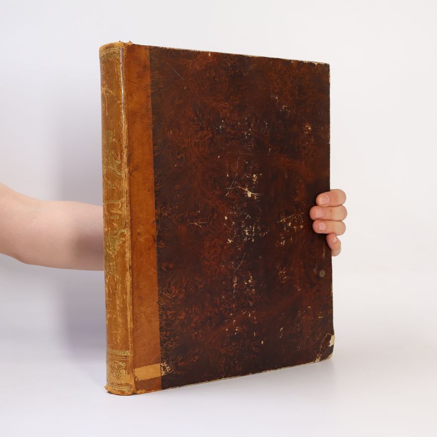 Collectif d'auteurs Manuel encyclopédique et pittoresque des sciences et des arts