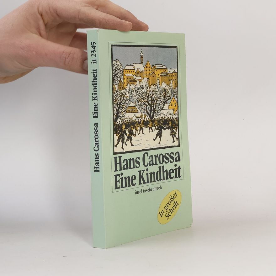 Hans Carossa Insel Taschenbuch: Eine Kindheit, Großdruck