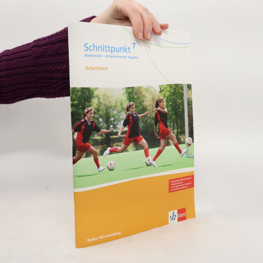 Kolektiv autorů Schnittpunkt - Mathematik: Differenzierende Ausgabe - Arbeitsheft