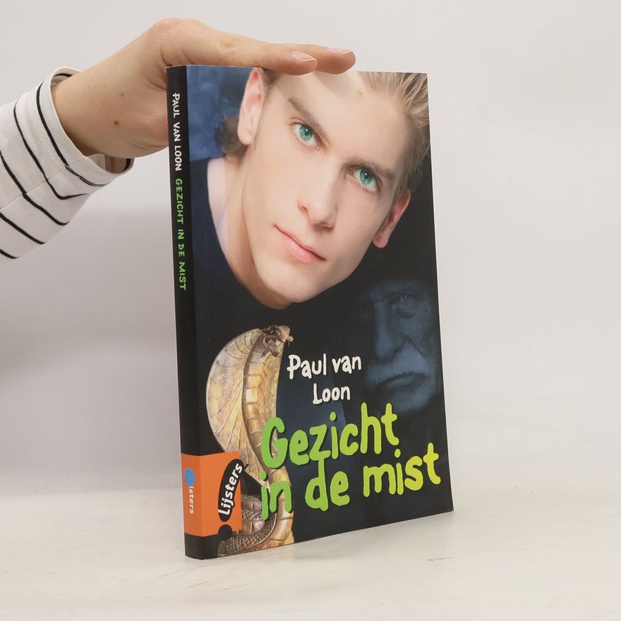 Paulus Stephanus Elisabeth Lambertus Maria Loon Gezicht in de mist