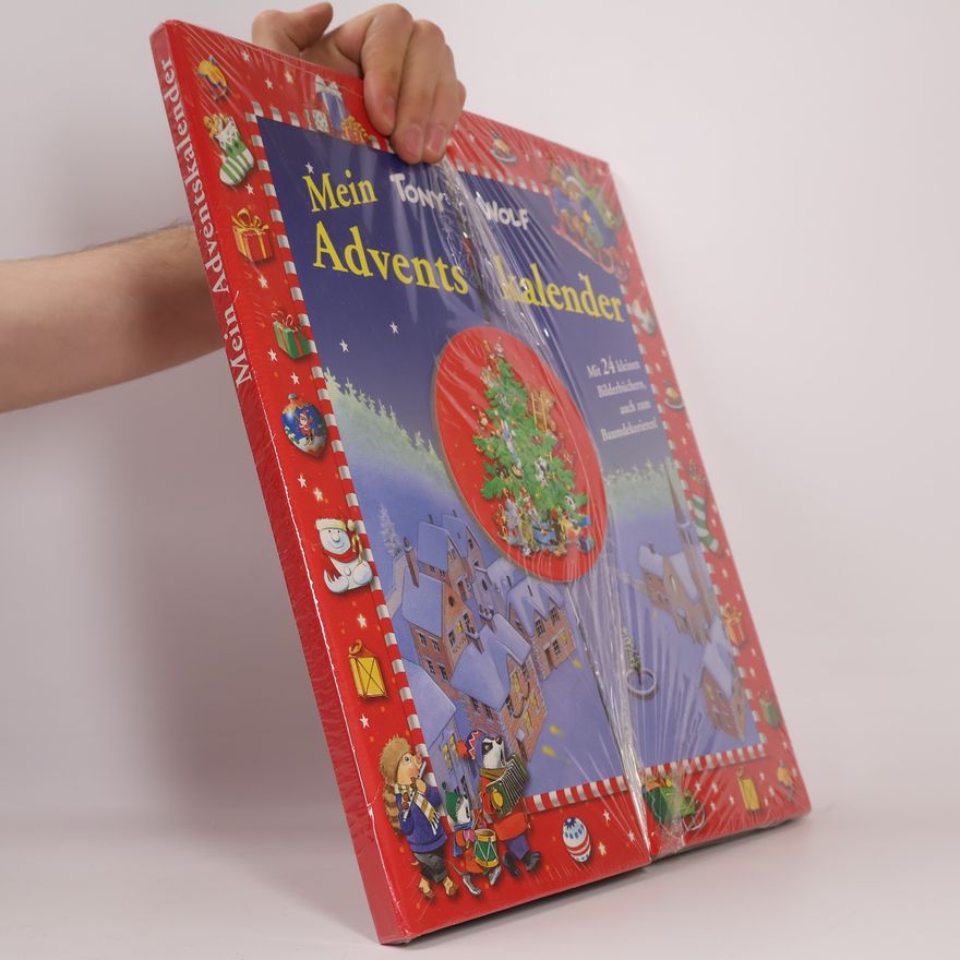 Anna Casalis Mein Adventskalender mit 24 kleinen Bilderbüchern