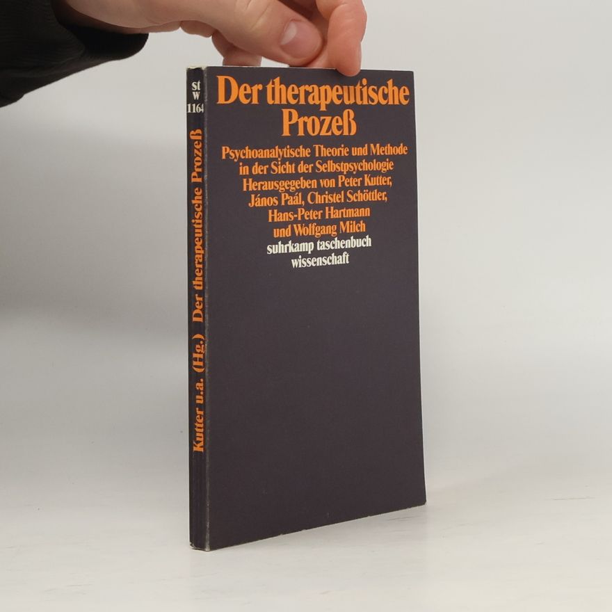 Hans-Peter Hartmann Suhrkamp Taschenbuch Wissenschaft - 1164: Der therapeutische Prozess