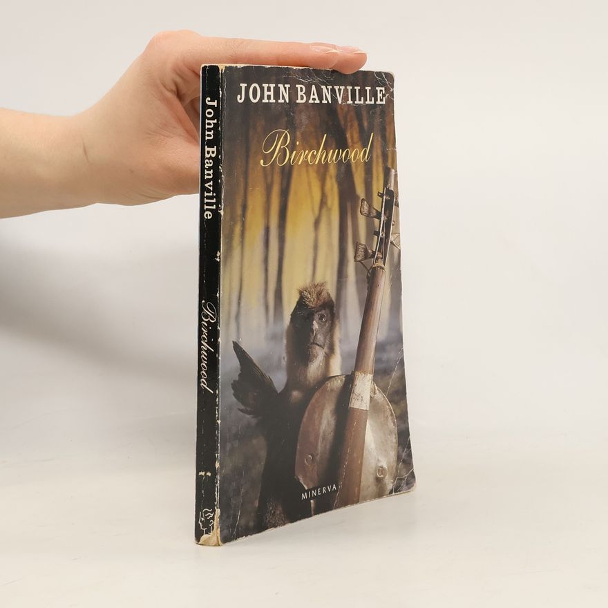 John Banville Birchwood