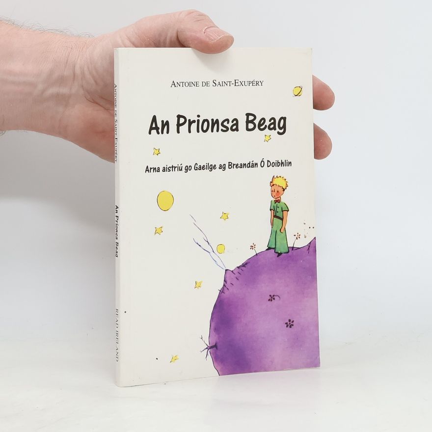 Breandán Ó Doibhlin An prionsa beag (Irsky/Irish)