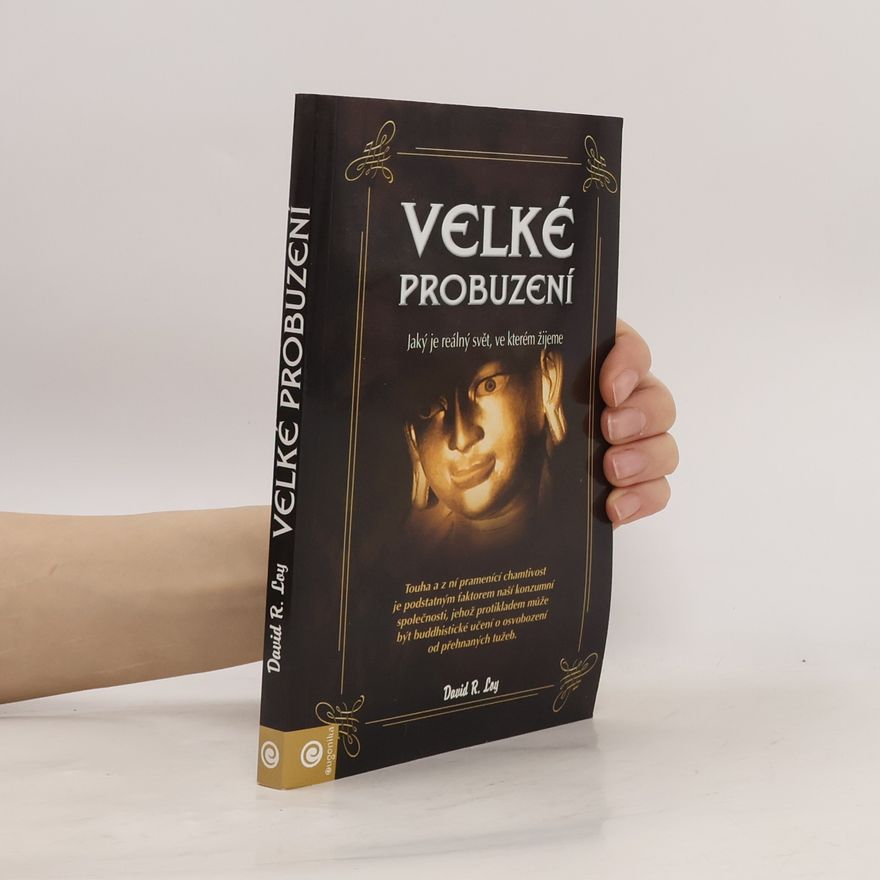 David Loy Velké probuzení : jaký je reálný svět, ve kterém žijeme