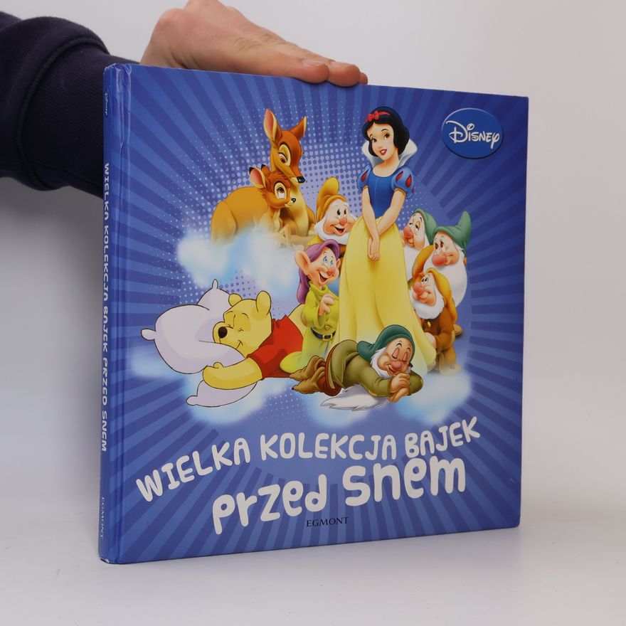 Autorenkollektiv Wielka kolekcja bajek przed snem